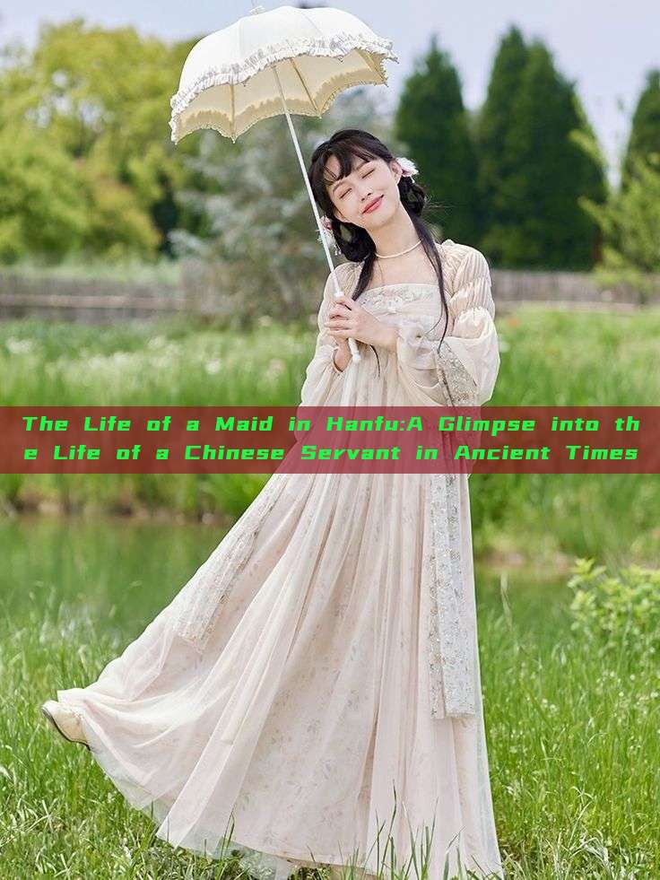 The Life of a Maid in Hanfu:A Glimpse into the Life of a Chinese Servant in Ancient Times