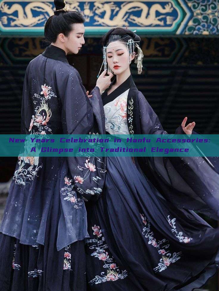 New Years Celebration in Hanfu Accessories:A Glimpse into Traditional Elegance New Years Celebration in Hanfu Accessories:A Glimpse into Traditional Elegance
