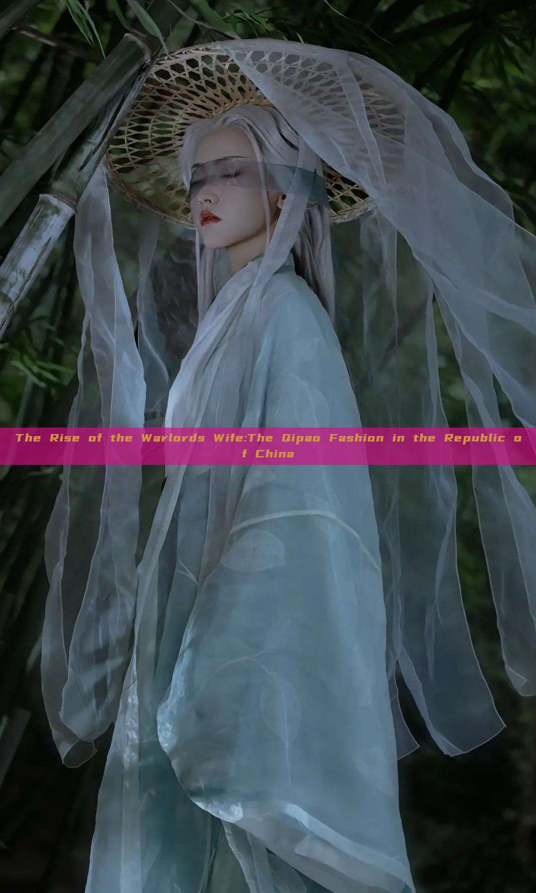 The Rise of the Warlords Wife:The Qipao Fashion in the Republic of China The Rise of the Warlords Wife:The Qipao Fashion in the Republic of China