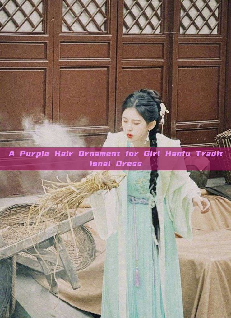 A Purple Hair Ornament for Girl Hanfu Traditional Dress A Purple Hair Ornament for Girl Hanfu Traditional Dress