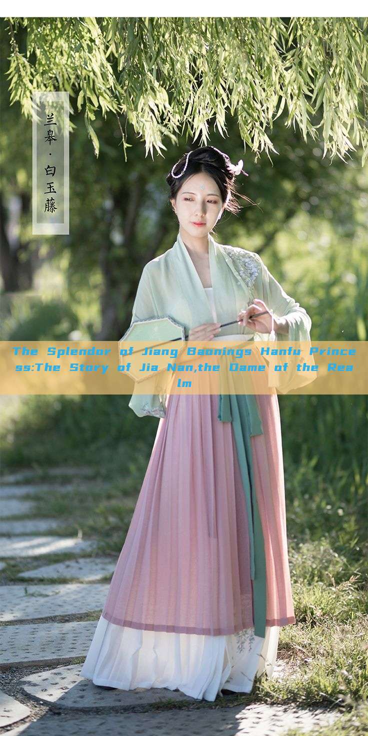 The Splendor of Jiang Baonings Hanfu Princess:The Story of Jia Nan,the Dame of the Realm The Splendor of Jiang Baonings Hanfu Princess:The Story of Jia Nan,the Dame of the Realm