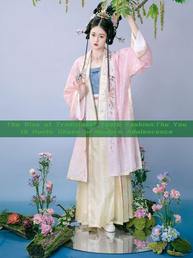 The Rise of Traditional Youth Fashion:The Youth Hanfu Shoes in Modern Adolescence