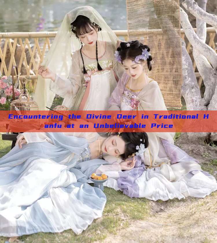 Encountering the Divine Deer in Traditional Hanfu at an Unbelievable Price Encountering the Divine Deer in Traditional Hanfu at an Unbelievable Price