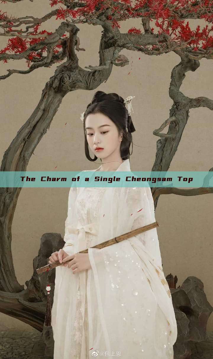 The Charm of a Single Cheongsam Top The Charm of a Single Cheongsam Top