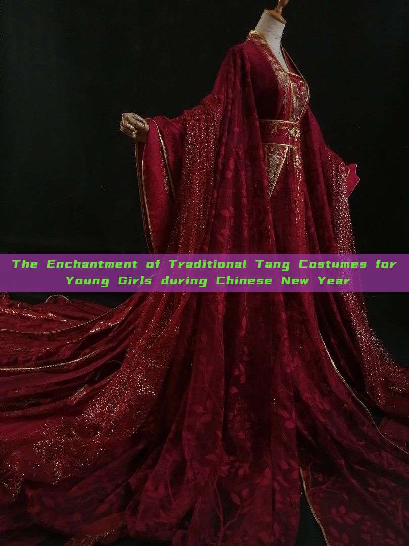 The Enchantment of Traditional Tang Costumes for Young Girls during Chinese New Year