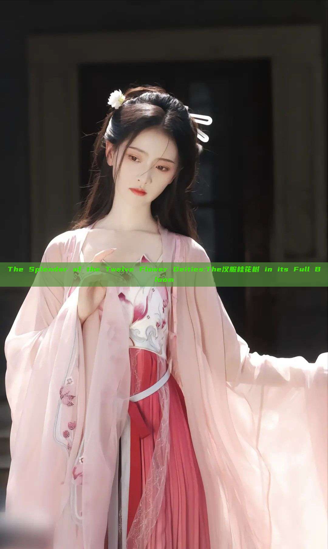 The Splendor of the Twelve Flower Deities:The汉服桂花树 in its Full Bloom