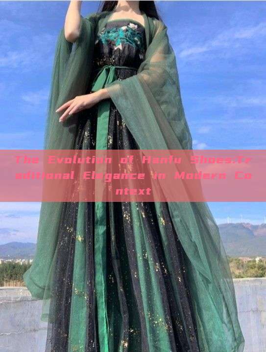 The Evolution of Hanfu Shoes:Traditional Elegance in Modern Context