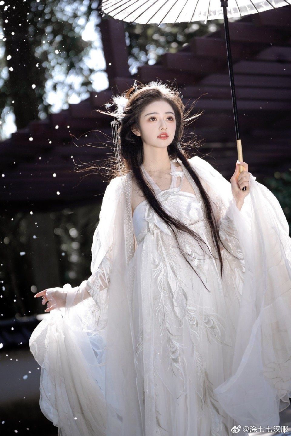 The Splendor of Li Yugangs Hanfu Fashion The Splendor of Li Yugangs Hanfu Fashion