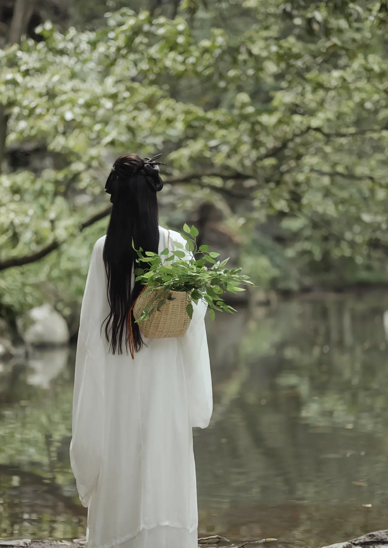 Embracing the Traditional:The Revival of Hanfu Han Chinese Traditional Clothing)