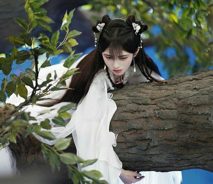 Hanfu and Tangzhuang:Embracing the Essence of Chinese Heritage Fashion Hanfu and Tangzhuang:Embracing the Essence of Chinese Heritage Fashion