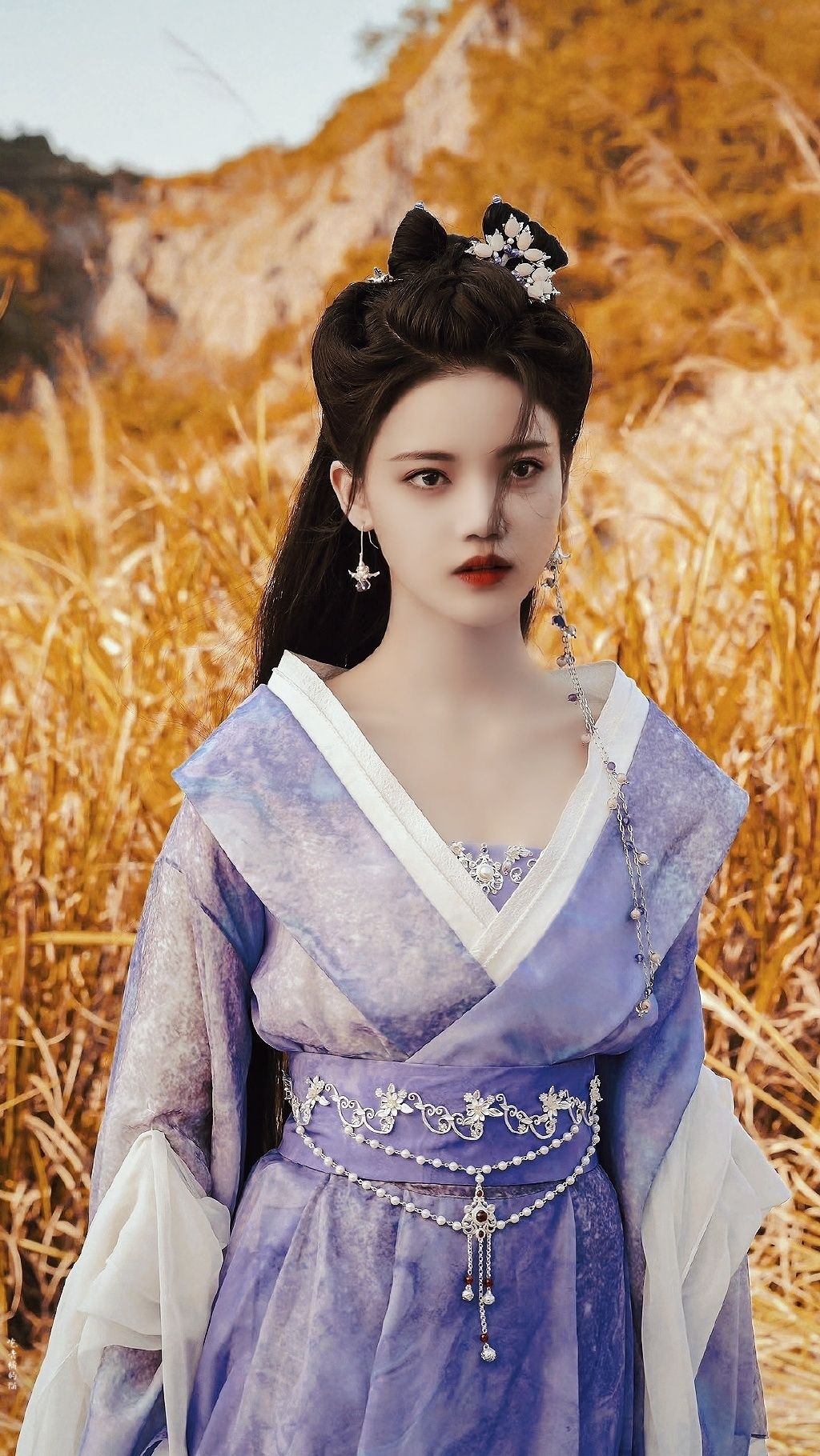 Hanfu Strapless Top with Inner Lining:A Closer Look into its Design and Cultural Significance