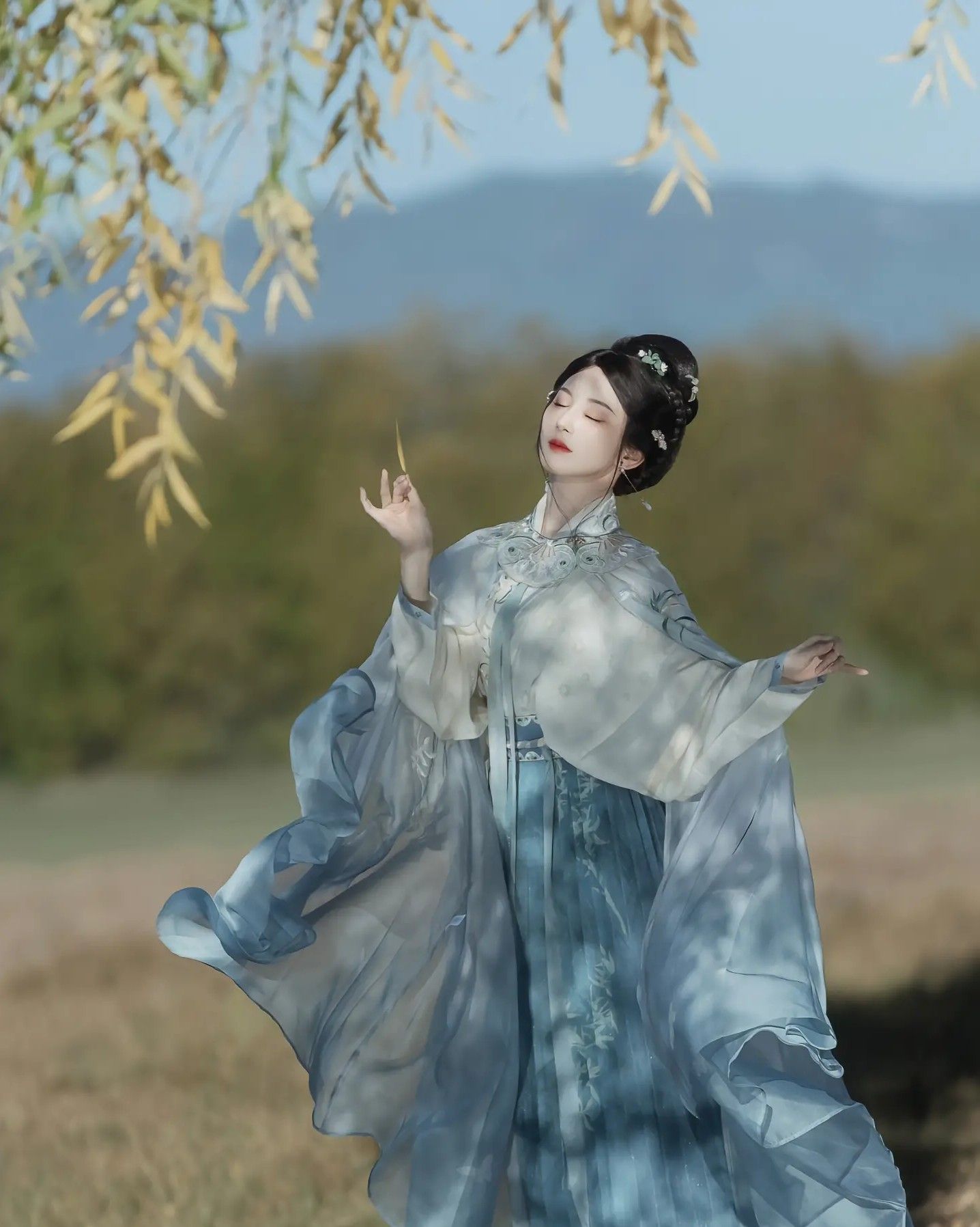 The Splendid Splendor of Hair Sticks in Hanfu Fashion The Splendid Splendor of Hair Sticks in Hanfu Fashion