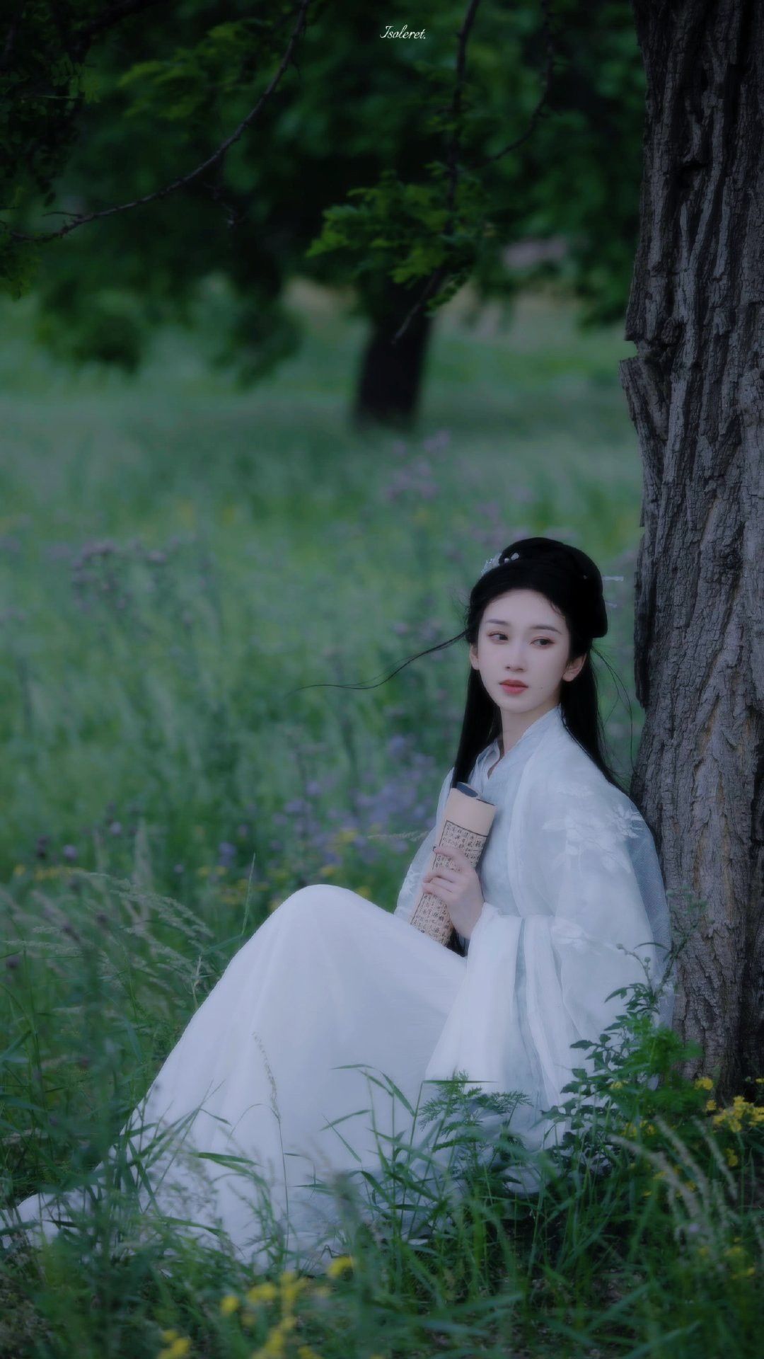The Enchantment of Black Silk with a Red Rose Cheongsam