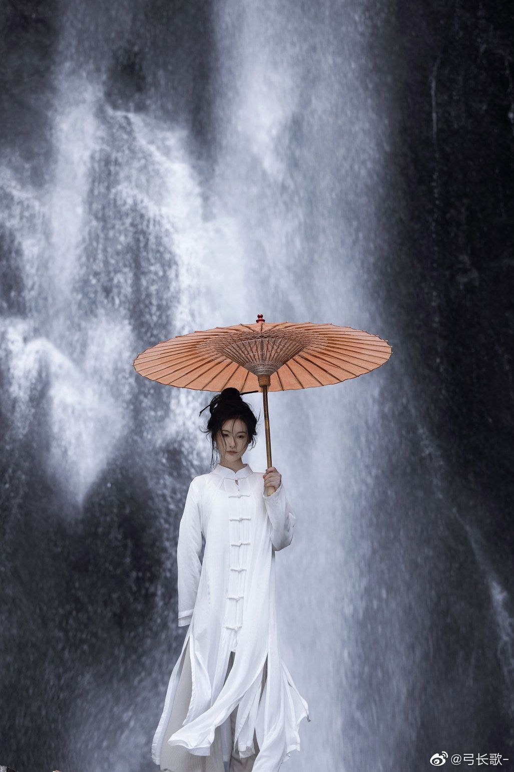 Plum Blossom Cheongsam Blouse:A Blend of Tradition and Elegance Plum Blossom Cheongsam Blouse:A Blend of Tradition and Elegance