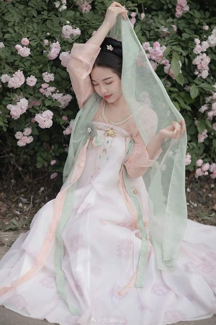 The Evolution of Hanfu Womens Outerwear:A Journey into Traditional Elegance
