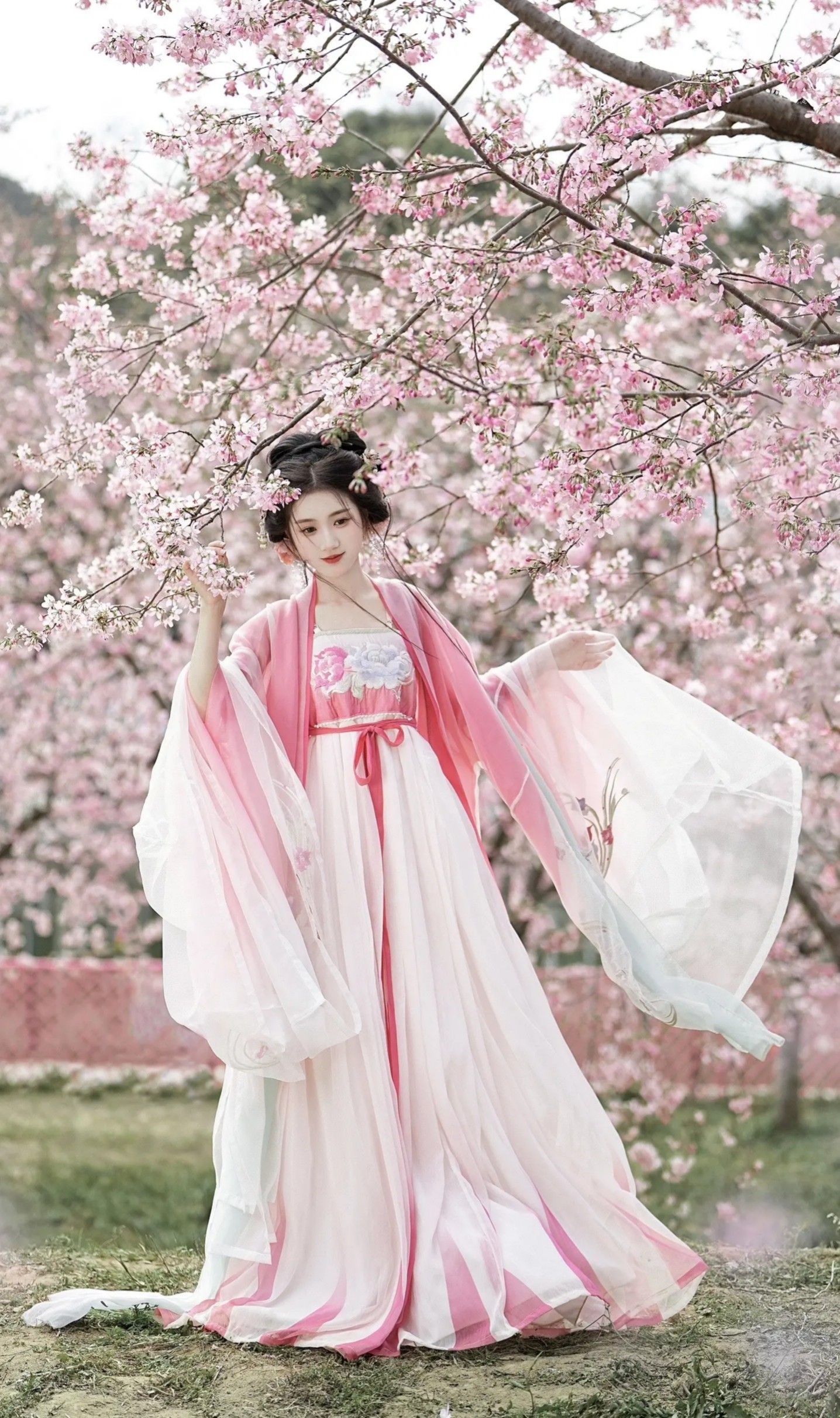 Embracing Modernity in a New Wave of Qipao Revamp:The Latest Cheongsam Dress Innovations