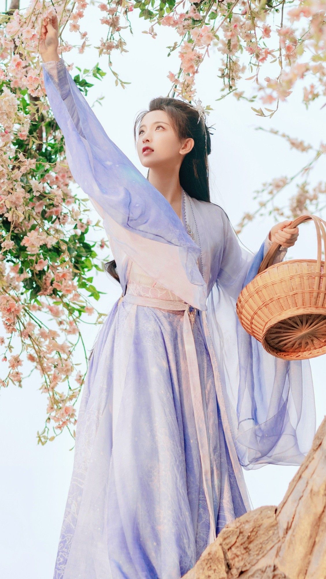 The Evolution of the Cheongsam:The Blend of Traditional Hanfu and Modern Fashion
