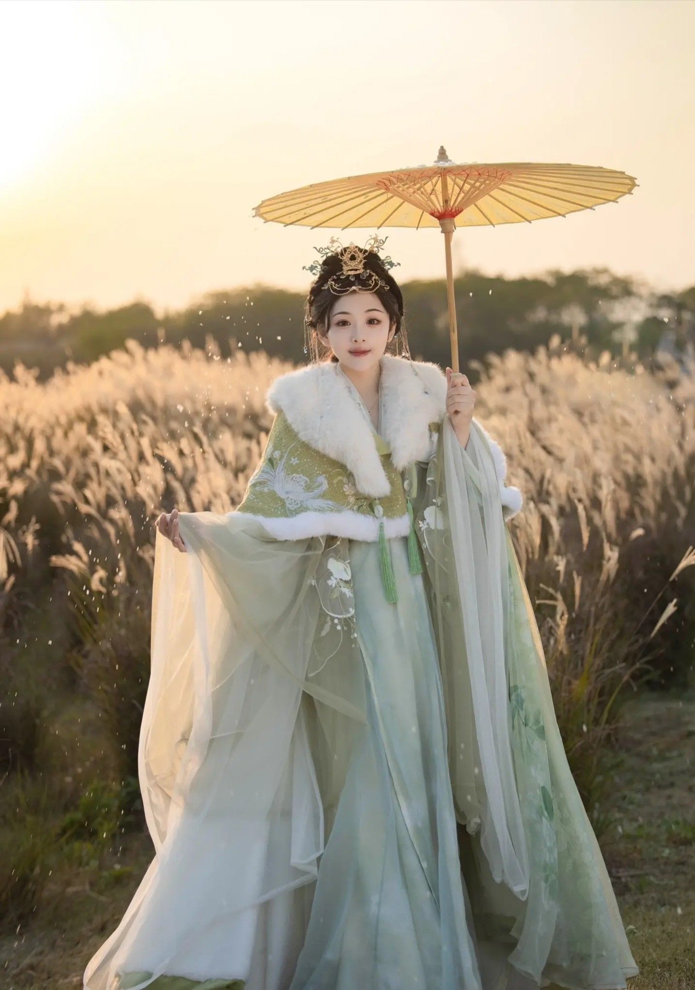 The Allure of Traditional Hanfu Hair Accessories:Tassel Side Combs