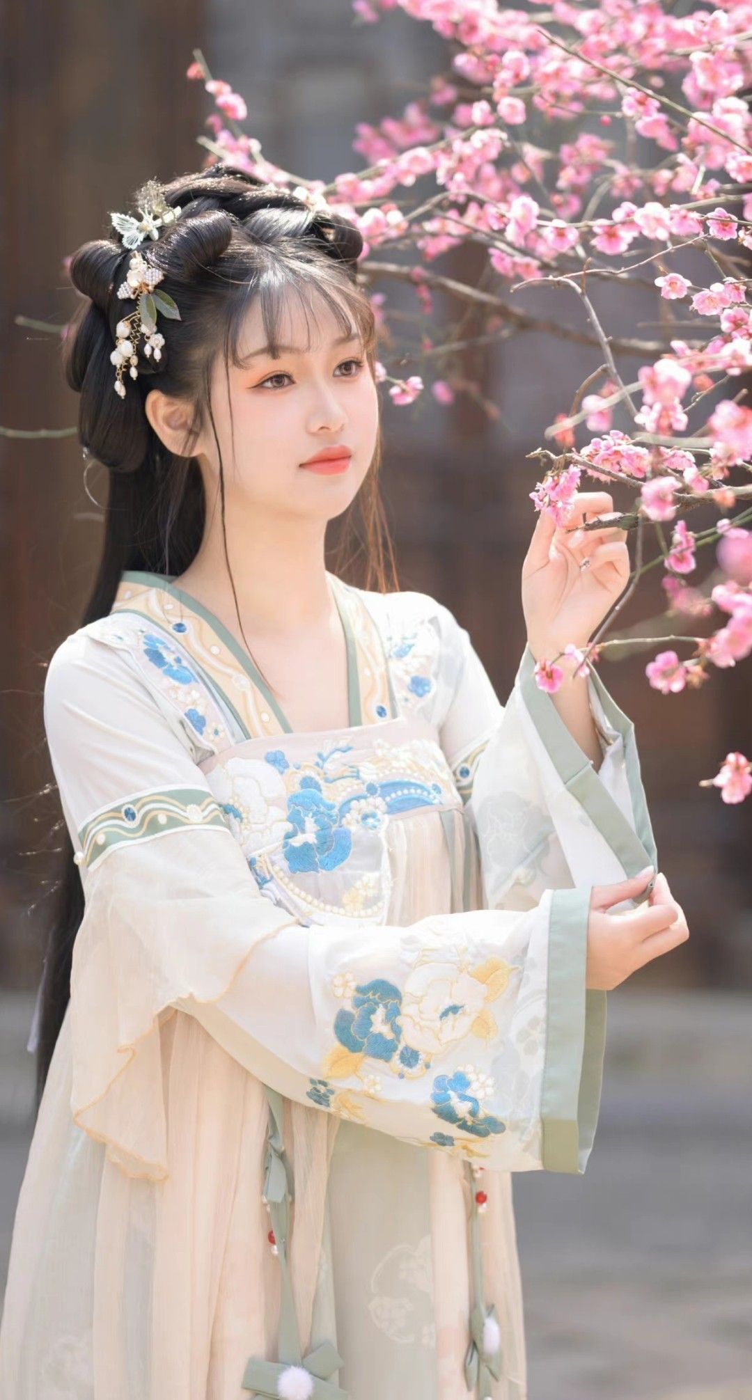Hanfu in Song Dynasty:The Splendor of Qingpingyue in Traditional Chinese Attire Hanfu in Song Dynasty:The Splendor of Qingpingyue in Traditional Chinese Attire