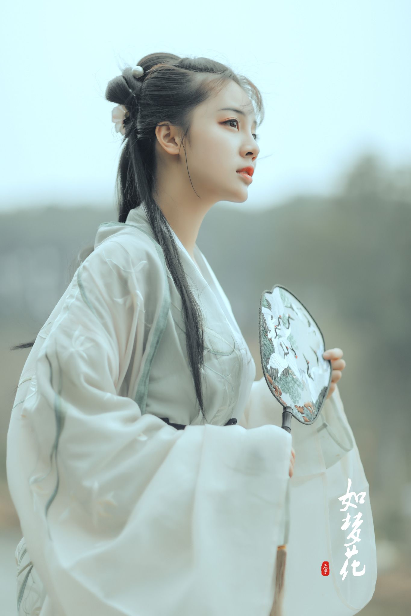 Traditional Tang-Style Womens Hanfu:A Blend of Elegance and Heritage Traditional Tang-Style Womens Hanfu:A Blend of Elegance and Heritage