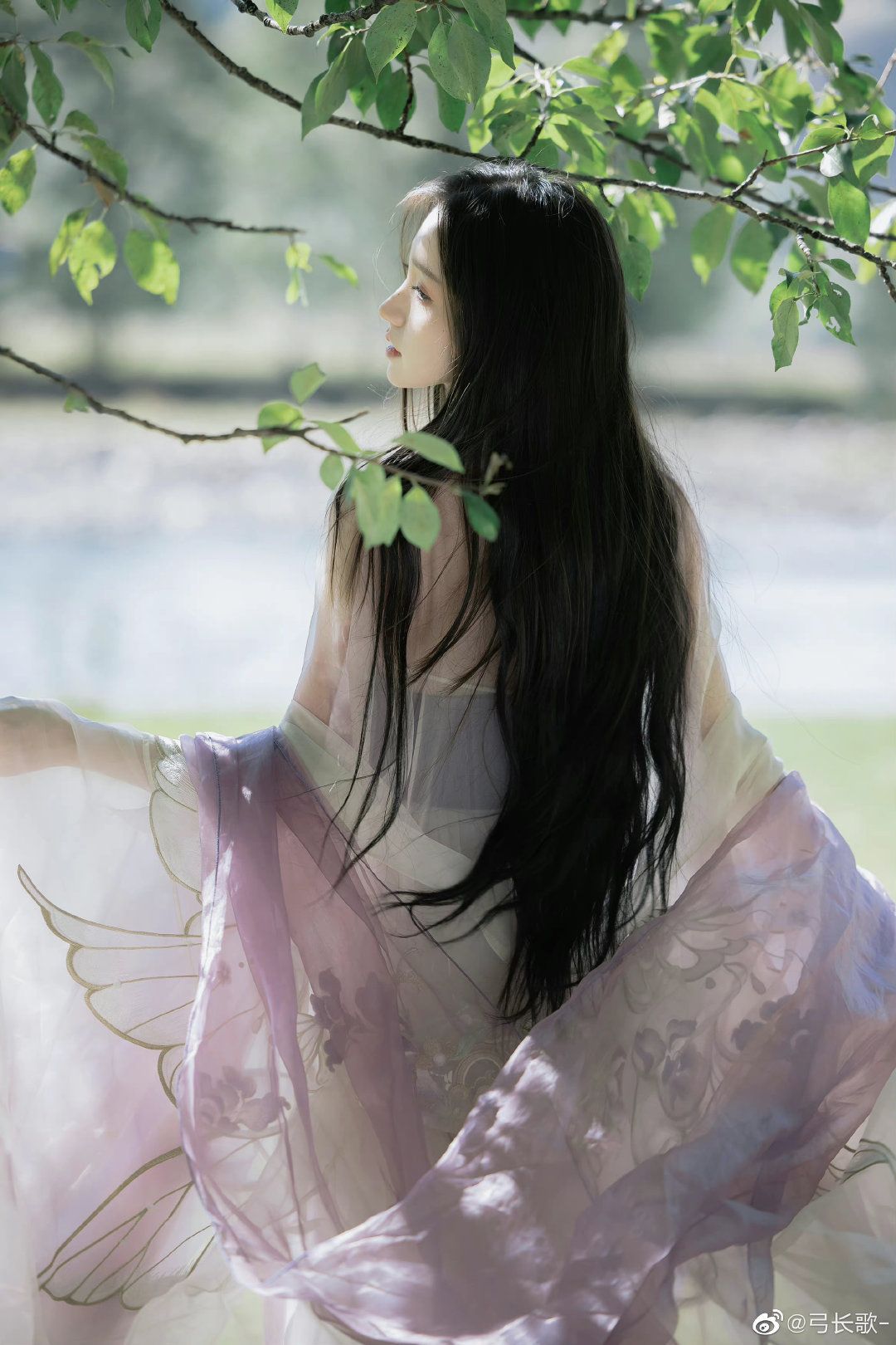 The Rise of Hanfu Fashion:Embracing the Traditional Elegance Like My Little Sisters Hanfu