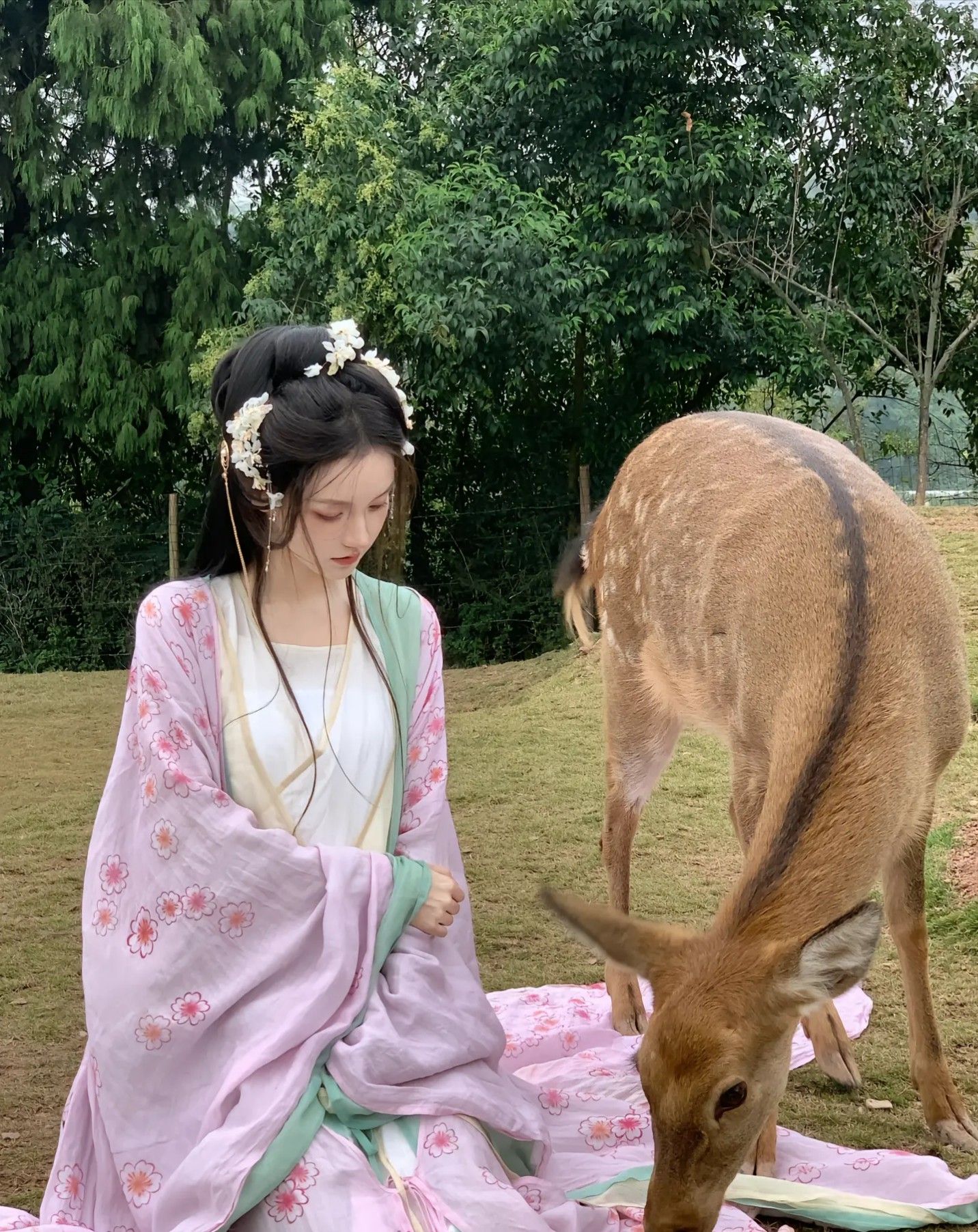 Pool Summer Hanfu Shop:A Journey into Traditional Chinese Fashion