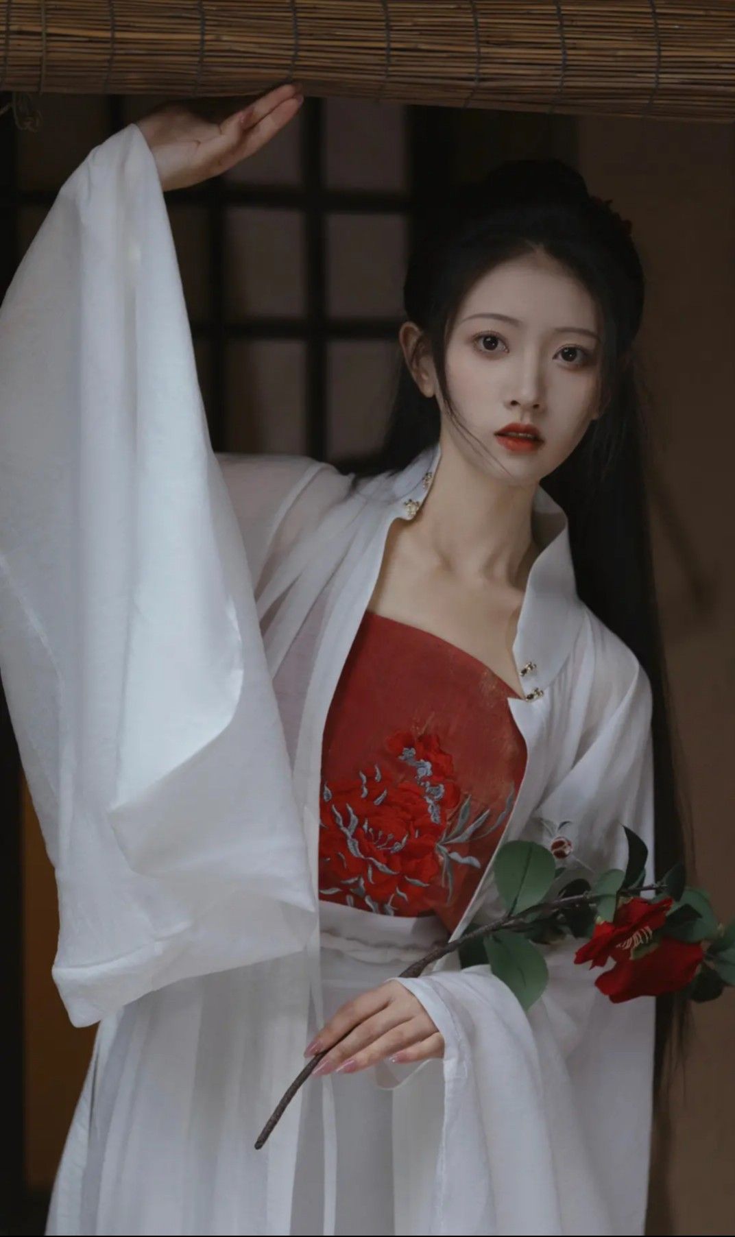 Silk Hanfu Clothes:The Charm of Traditional Collared Tops