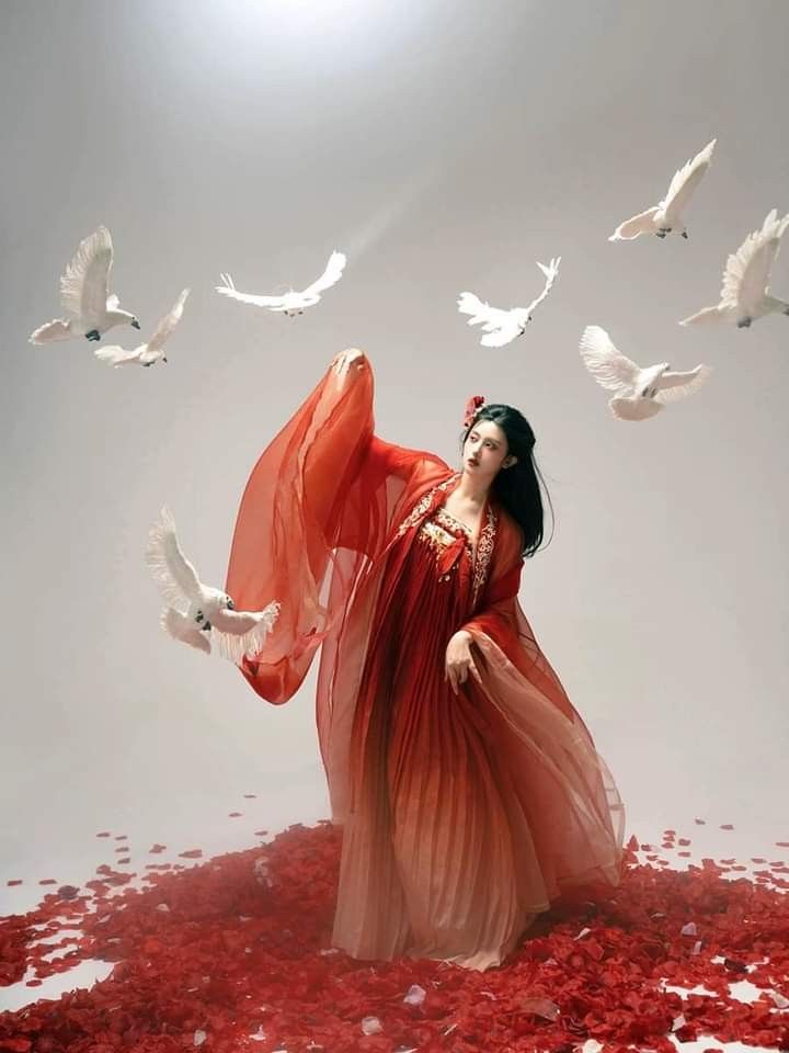 Daily Improvement of Song Dynasty Hanfu:A Journey into Traditional Elegance
