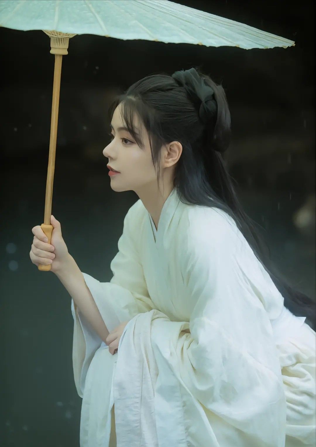 The Splendor of Princess Yuyus in Her Hanfu Fashion