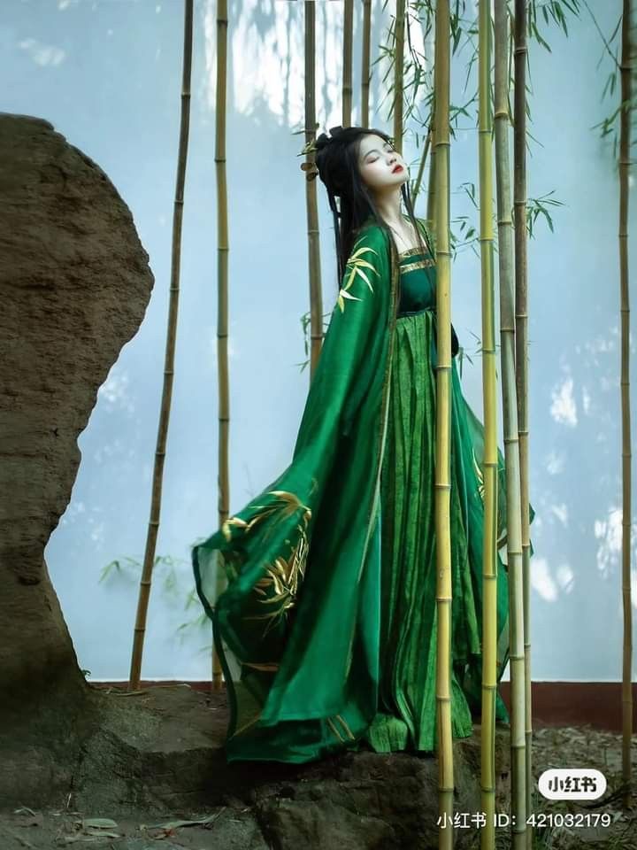 The Splendor of Ming-Style Cloud-Shoulder Hanfu in the Modern Era:A Tale of Traditional Elegance The Splendor of Ming-Style Cloud-Shoulder Hanfu in the Modern Era:A Tale of Traditional Elegance