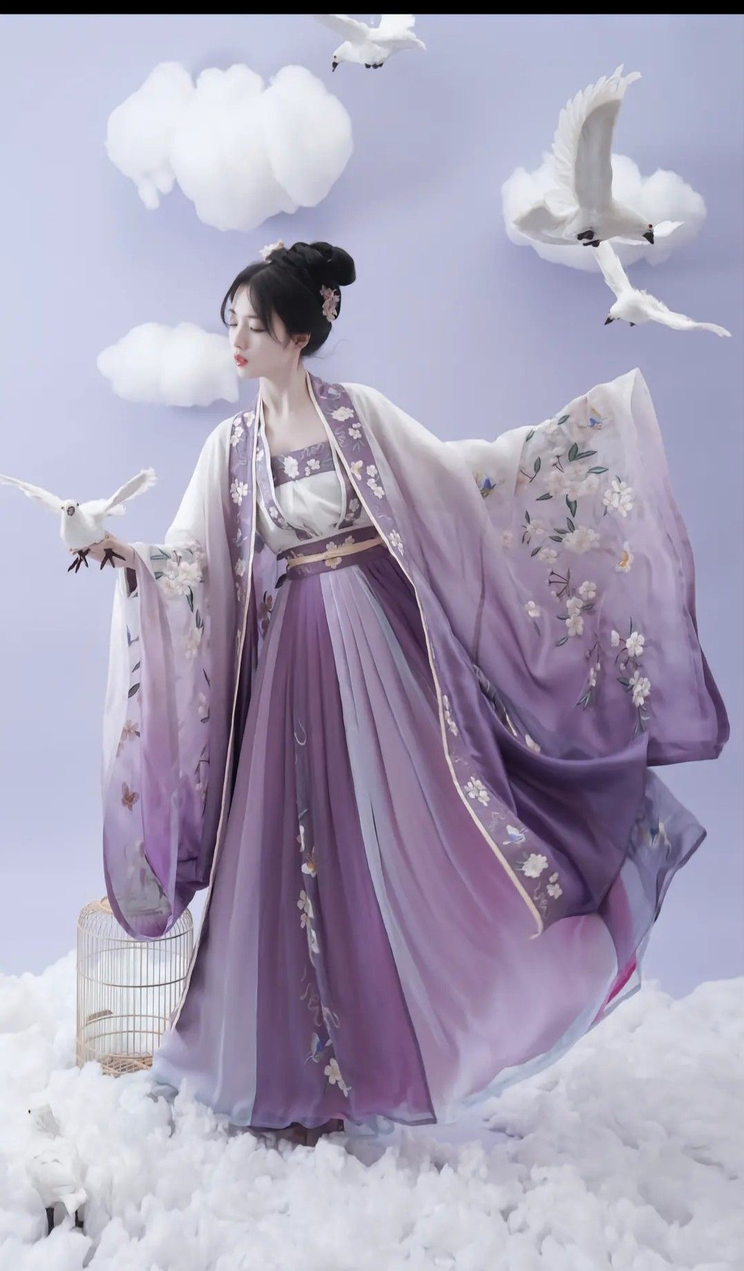 The Splendor of Hanfu:The Elaborate Sleeveless Outer Robe