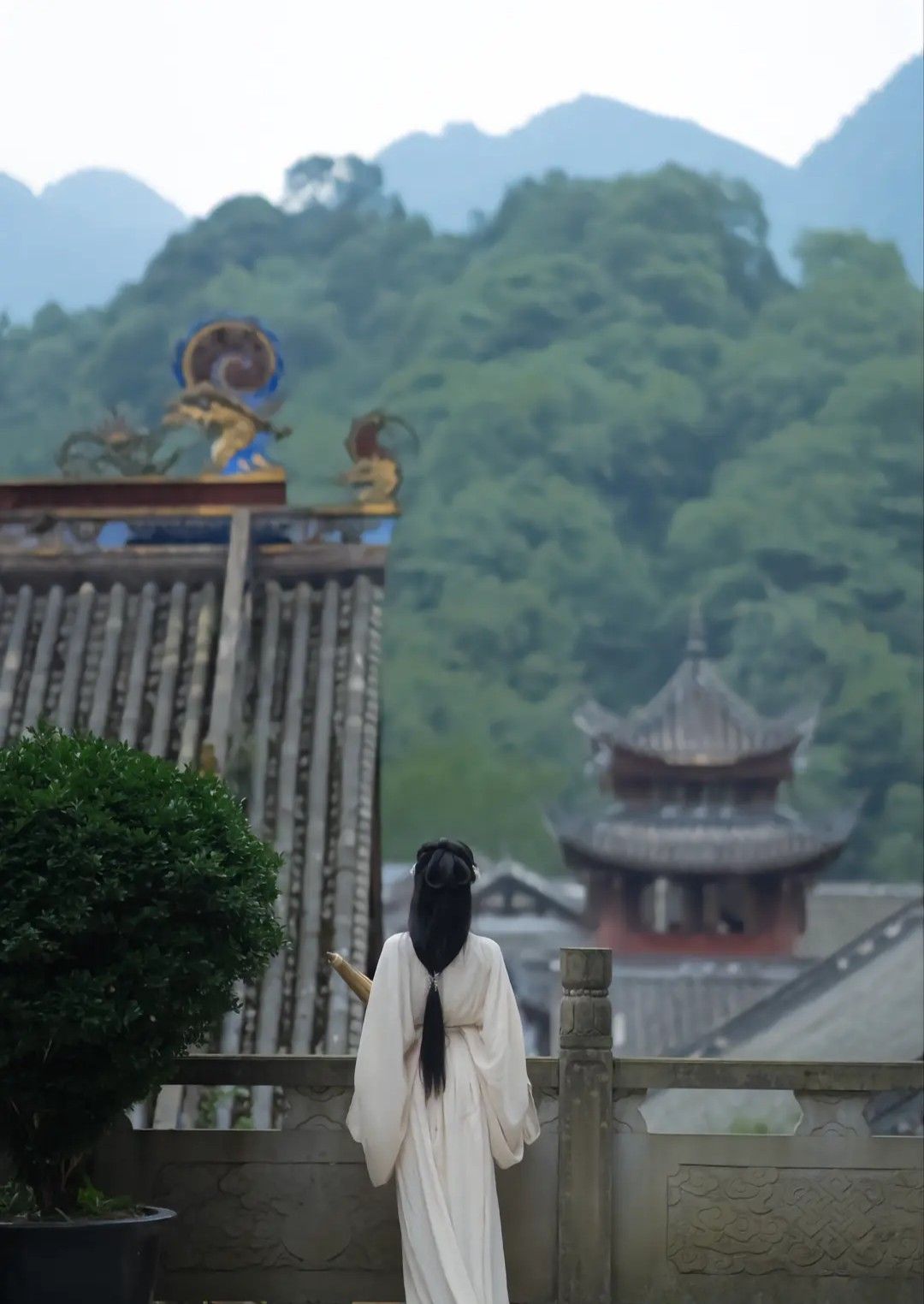 Enhanced Elasticity in Modern Qipao:A Revolution in Traditional Fashion
