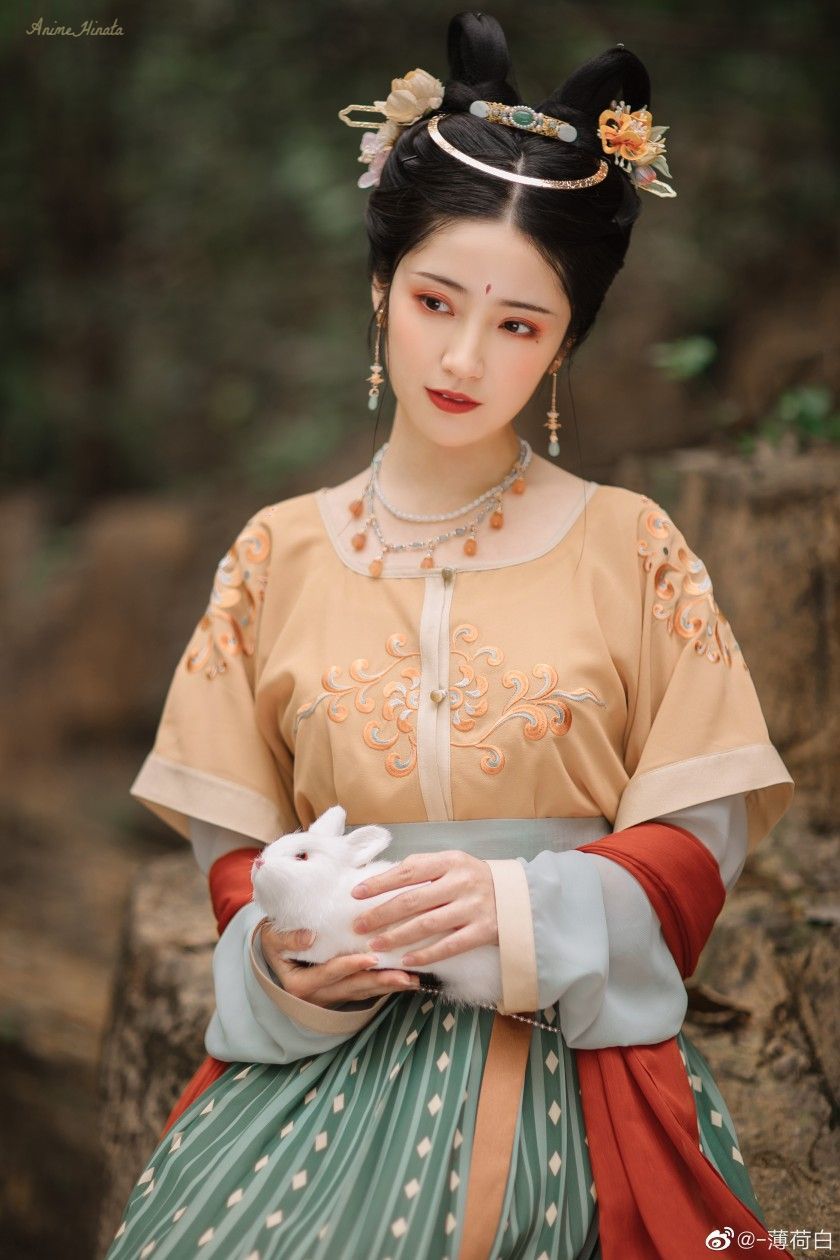 Adult Womens Tang-Style Hanfu Costumes:A Journey into Traditional Chinese Elegance