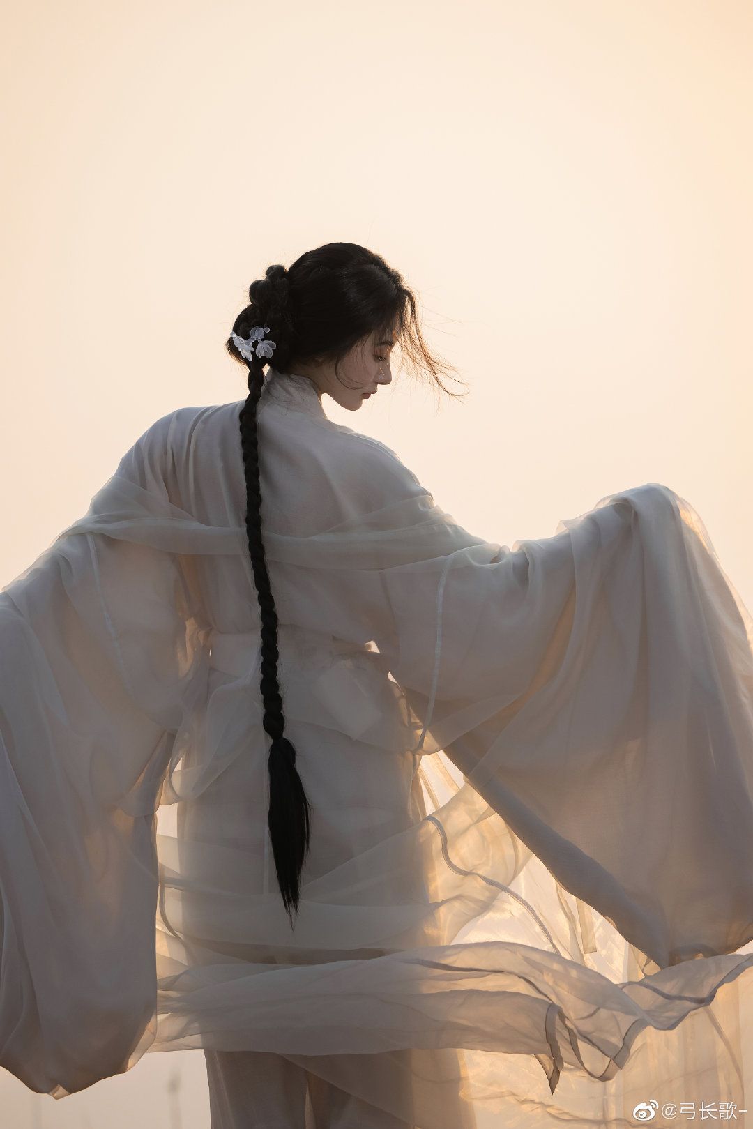 Ancient Elegance:The Enchanting World of Traditional Chinese Womens Wear Hanfu Long Skirts Ancient Elegance:The Enchanting World of Traditional Chinese Womens Wear Hanfu Long Skirts
