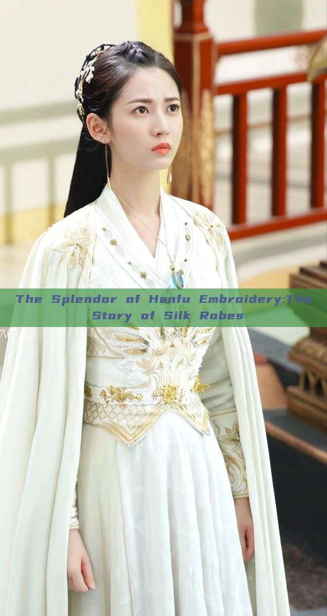 The Splendor of Hanfu Embroidery:The Story of Silk Robes