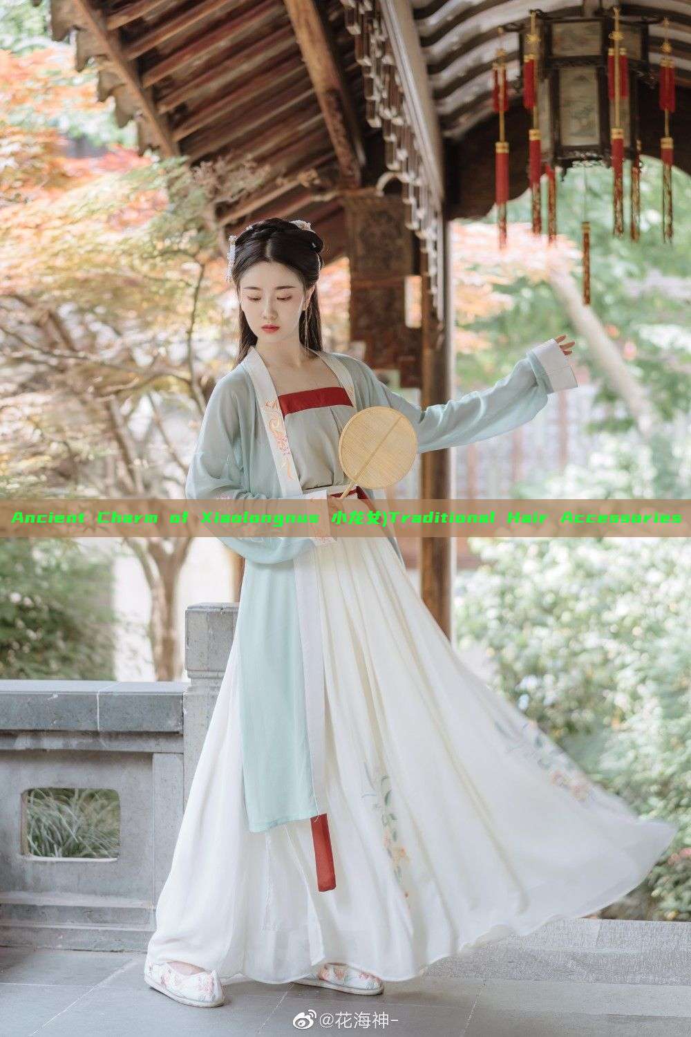 Ancient Charm of Xiaolongnus 小龙女)Traditional Hair Accessories