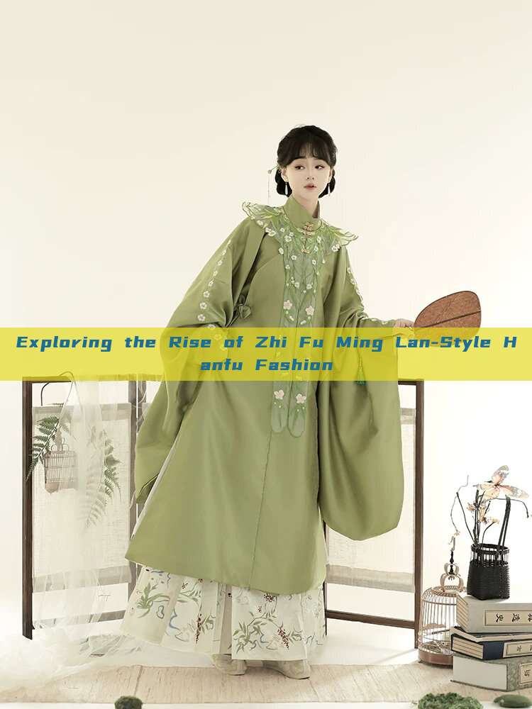 Exploring the Rise of Zhi Fu Ming Lan-Style Hanfu Fashion