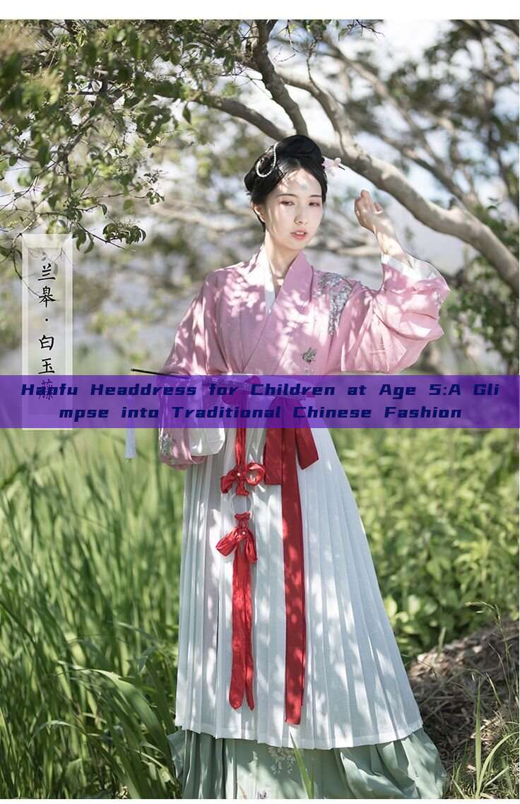 Hanfu Headdress for Children at Age 5:A Glimpse into Traditional Chinese Fashion