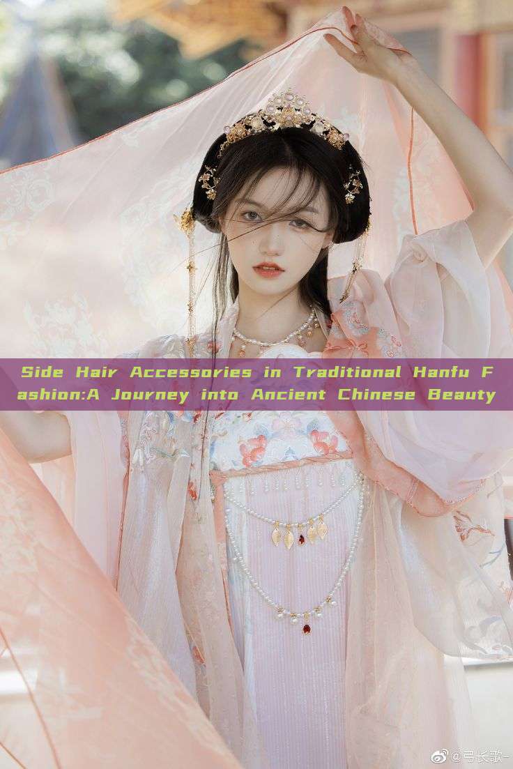 Side Hair Accessories in Traditional Hanfu Fashion:A Journey into Ancient Chinese Beauty