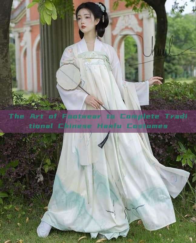 The Art of Footwear to Complete Traditional Chinese Hanfu Costumes