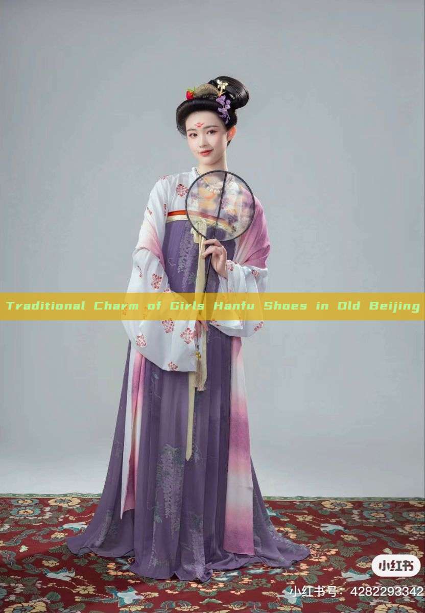 Traditional Charm of Girls Hanfu Shoes in Old Beijing