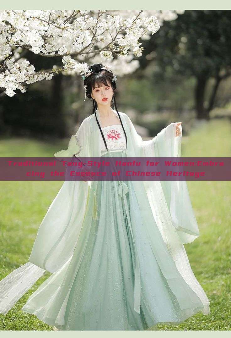 Traditional Tang-Style Hanfu for Women:Embracing the Essence of Chinese Heritage