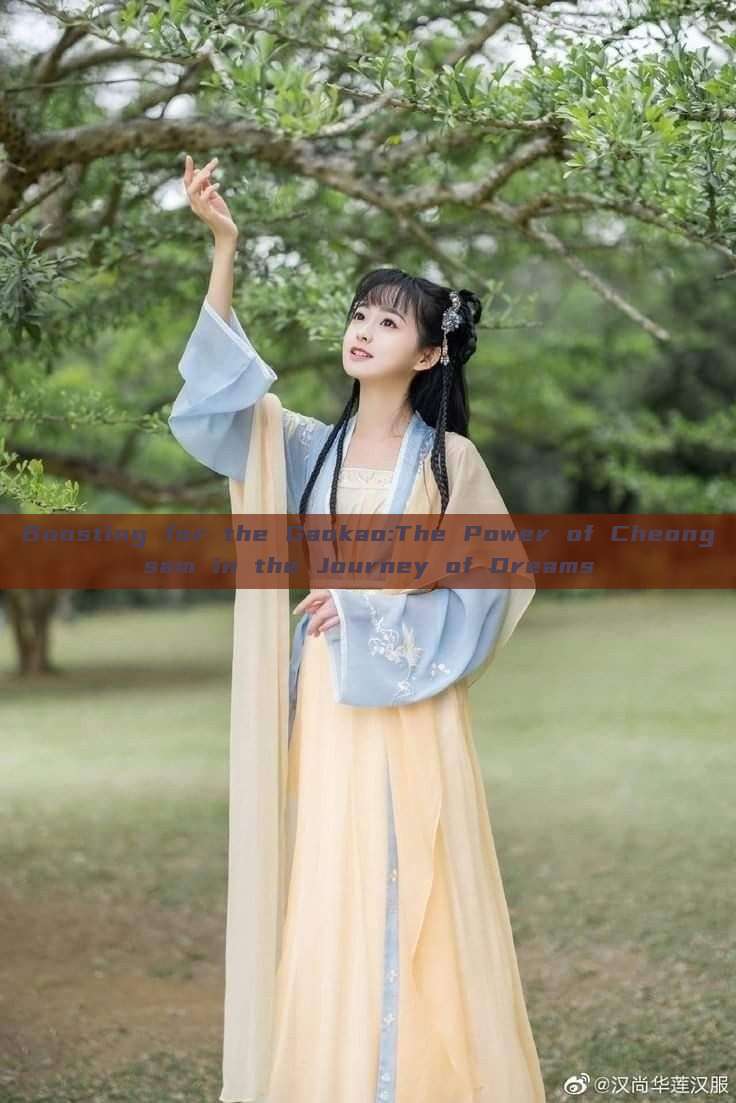 Boosting for the Gaokao:The Power of Cheongsam in the Journey of Dreams
