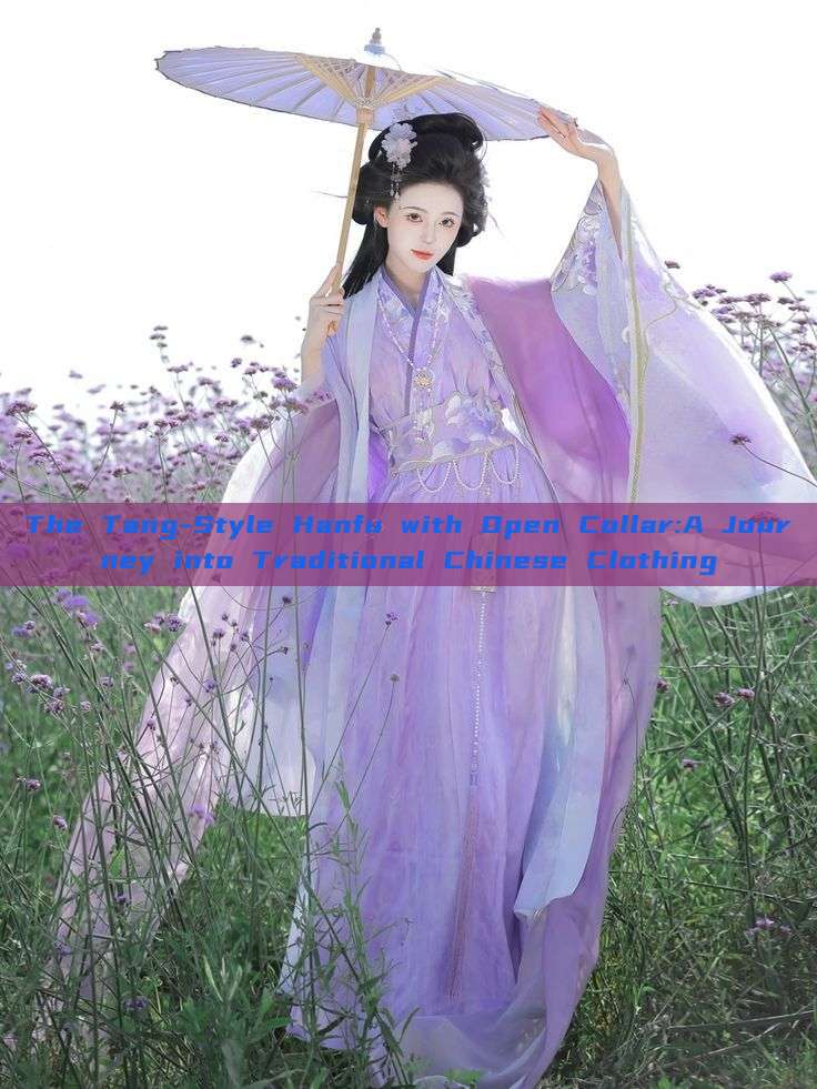 The Tang-Style Hanfu with Open Collar:A Journey into Traditional Chinese Clothing The Tang-Style Hanfu with Open Collar:A Journey into Traditional Chinese Clothing