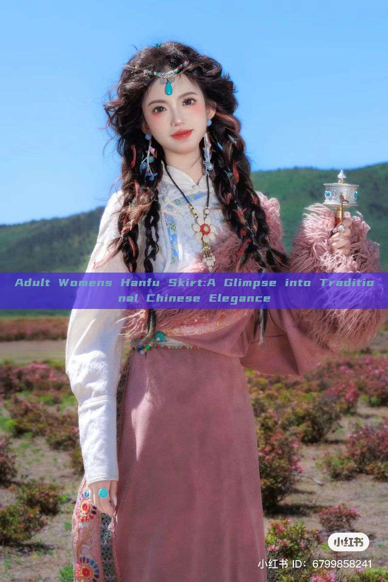 Adult Womens Hanfu Skirt:A Glimpse into Traditional Chinese Elegance Adult Womens Hanfu Skirt:A Glimpse into Traditional Chinese Elegance