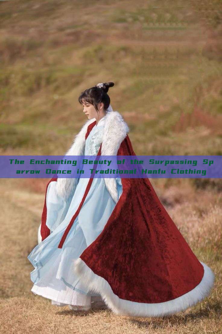 The Enchanting Beauty of the Surpassing Sparrow Dance in Traditional Hanfu Clothing The Enchanting Beauty of the Surpassing Sparrow Dance in Traditional Hanfu Clothing