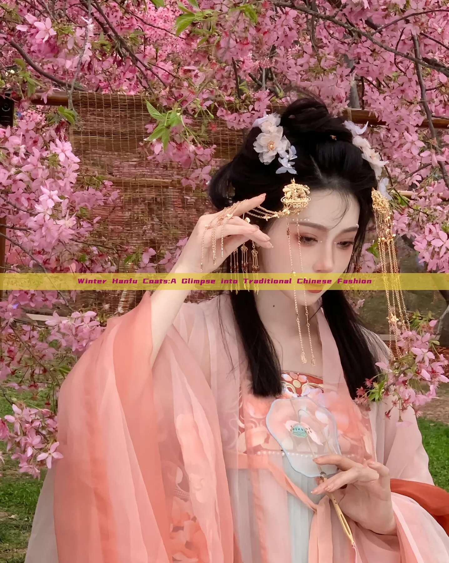 Winter Hanfu Coats:A Glimpse into Traditional Chinese Fashion Winter Hanfu Coats:A Glimpse into Traditional Chinese Fashion