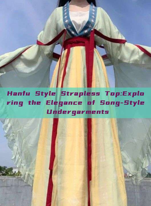 Hanfu Style Strapless Top:Exploring the Elegance of Song-Style Undergarments Hanfu Style Strapless Top:Exploring the Elegance of Song-Style Undergarments