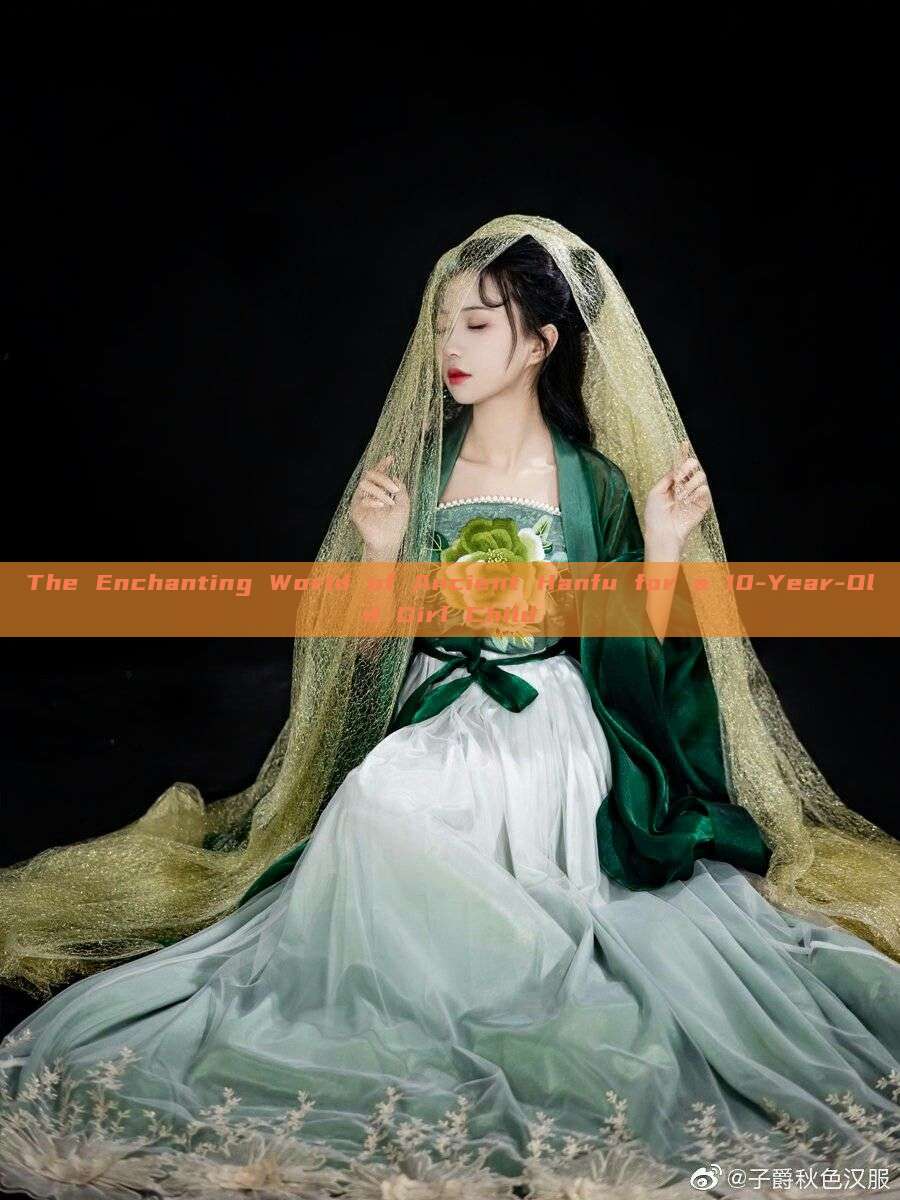 The Enchanting World of Ancient Hanfu for a 10-Year-Old Girl Child The Enchanting World of Ancient Hanfu for a 10-Year-Old Girl Child