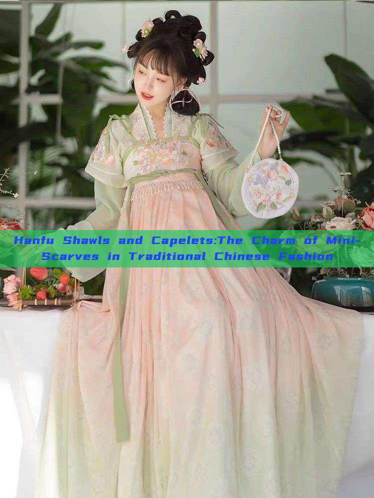 Hanfu Shawls and Capelets:The Charm of Mini-Scarves in Traditional Chinese Fashion Hanfu Shawls and Capelets:The Charm of Mini-Scarves in Traditional Chinese Fashion